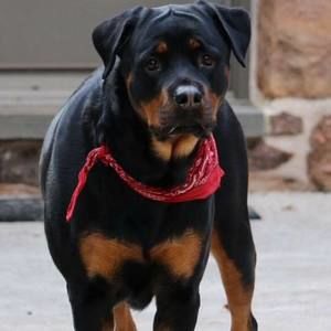 Meet your Posher, Michele